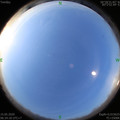 1589499274.jpg