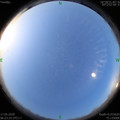 1589671423.jpg