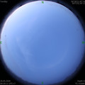 1589923232.jpg