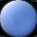 1589923593.jpg