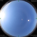 1589934608.jpg