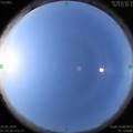 1589936169.jpg