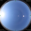 1589936559.jpg