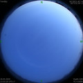 1589990631.jpg