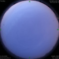 1590005308.jpg