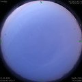 1590005428.jpg