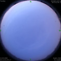 1590005608.jpg