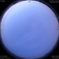 1590005938.jpg