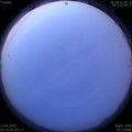 1590006028.jpg