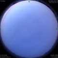 1590006088.jpg
