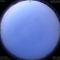 1590006149.jpg