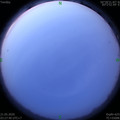 1590006494.jpg