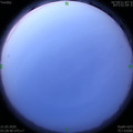 1590006554.jpg