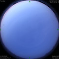 1590006644.jpg
