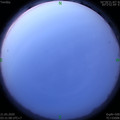 1590006704.jpg