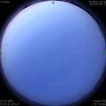 1590006854.jpg