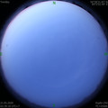 1590007199.jpg