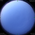 1590007334.jpg