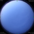1590007604.jpg