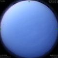 1590007904.jpg