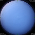 1590009675.jpg