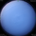 1590009795.jpg