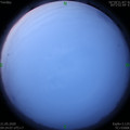 1590009855.jpg