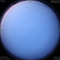 1590010050.jpg