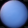 1590010110.jpg