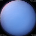 1590010170.jpg