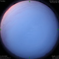 1590010411.jpg