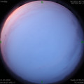 1590010771.jpg