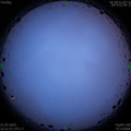 1590074567.jpg