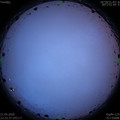 1590074642.jpg
