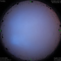 1590075122.jpg