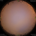 1590076068.jpg
