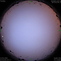 1590094542.jpg
