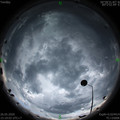 1590481173.jpg