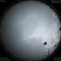 1590484024.jpg