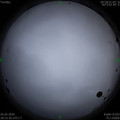 1590491753.jpg