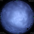 1590506866.jpg