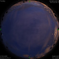 1590512464.jpg