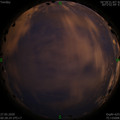 1590514144.jpg