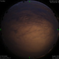 1590516696.jpg