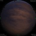 1590517446.jpg