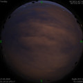 1590517506.jpg