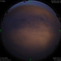 1590519307.jpg