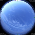 1590524274.jpg