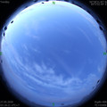 1590524334.jpg