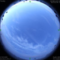 1590524394.jpg